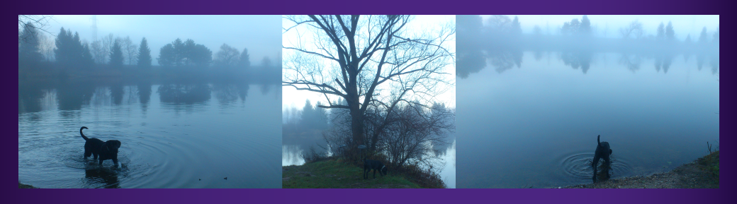 Dezember14_3